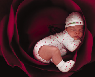 20060825211240-ekc4954-prv.jpg