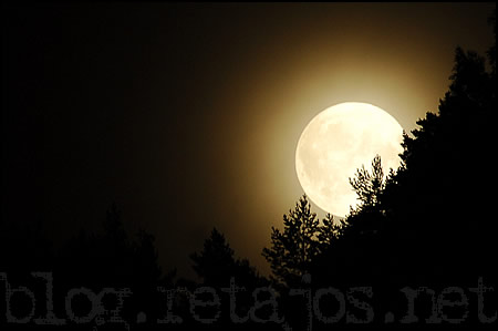 20061207181619-luna.jpg